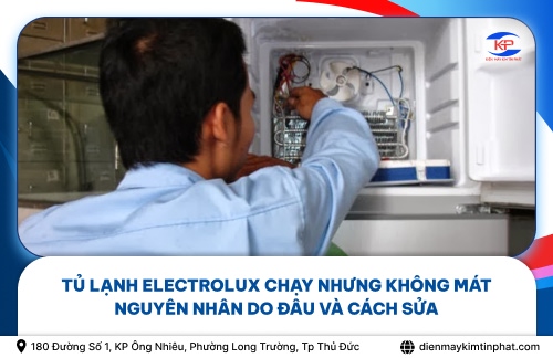 Tủ Lạnh Electrolux Chạy Nhưng Không Mát Nguyên Nhân Do Đâu Và Cách Sửa