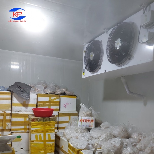 Kho Lạnh Bị Đóng Tuyết Liên Tục Do Lỗi Kỹ Thuật Hay Vấn Đề Bảo Quản