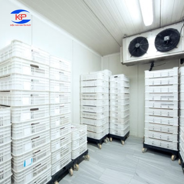 Kho Lạnh Bị Đóng Tuyết Liên Tục Do Lỗi Kỹ Thuật Hay Vấn Đề Bảo Quản